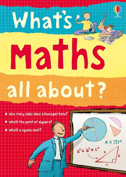 What's Maths All About? (What and Why?) Paperback