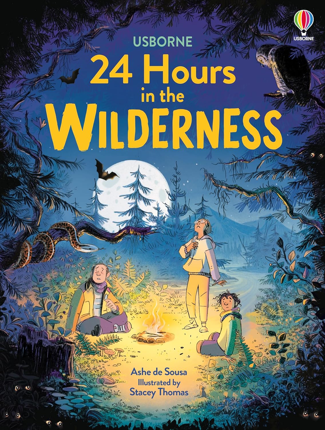Usborne 24 Hours in the Wilderness