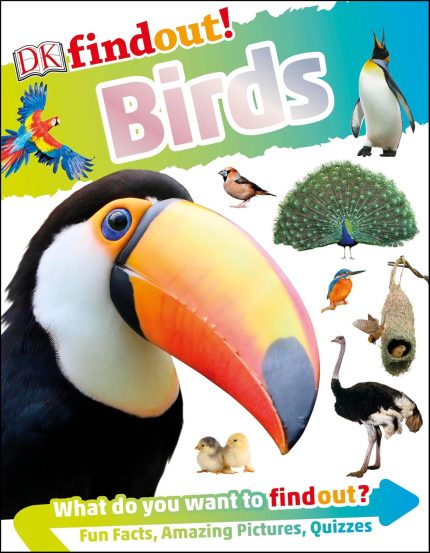 DK Find out! Birds (Hardcover)