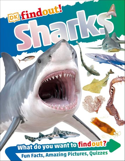 DK Find out! Shark (Hardcover)