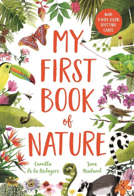 My First Book Of Nature - Hard Cover